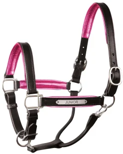 PERRIS LEATHER Perri’s® 1