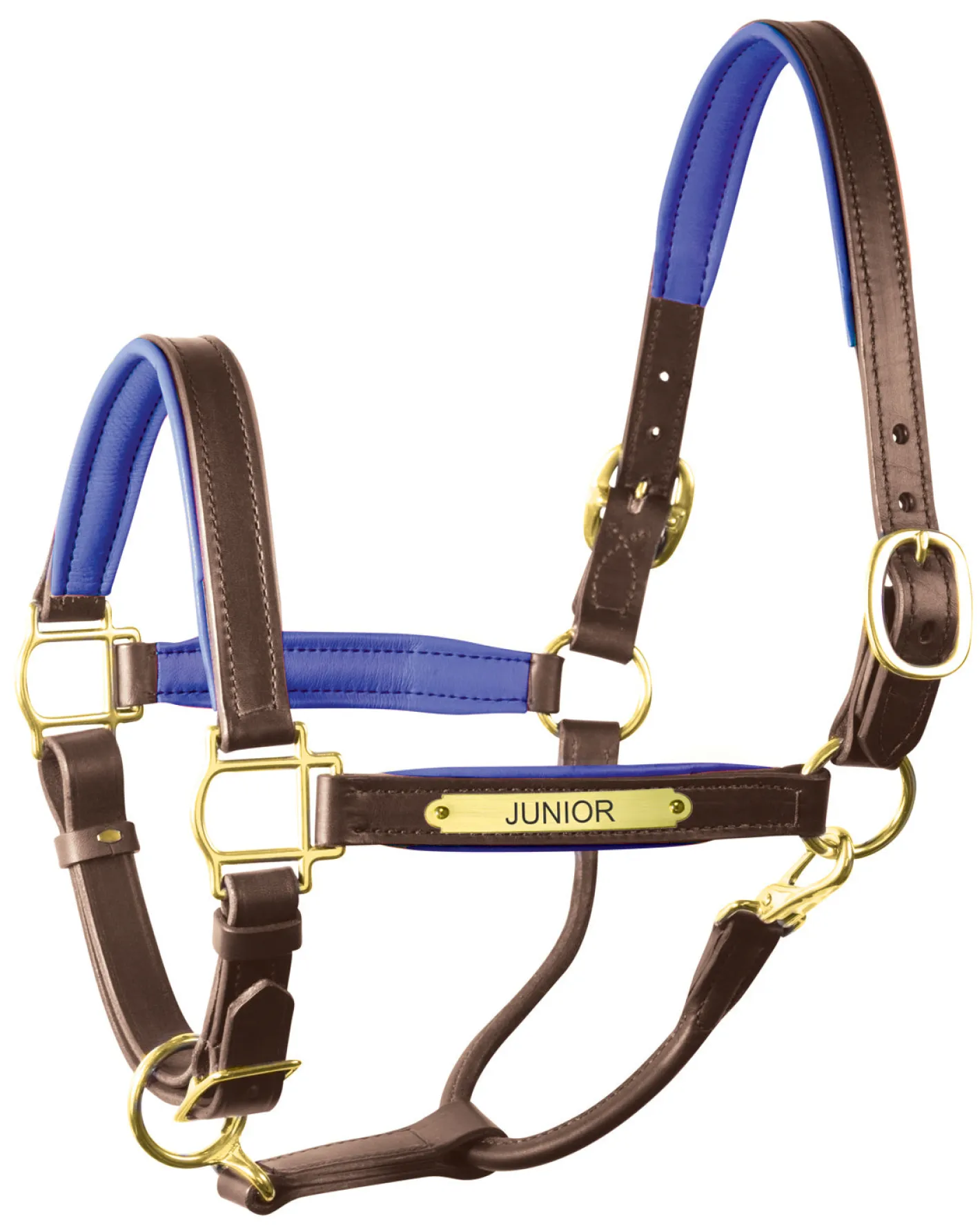 PERRIS LEATHER Perri’s® 1" Padded Leather Halter with Nameplate