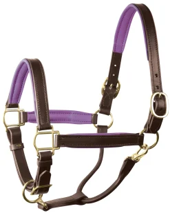 PERRIS LEATHER Perri’s® 1" Padded Leather Halter