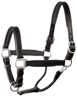 PERRIS LEATHER Perri’s® 1