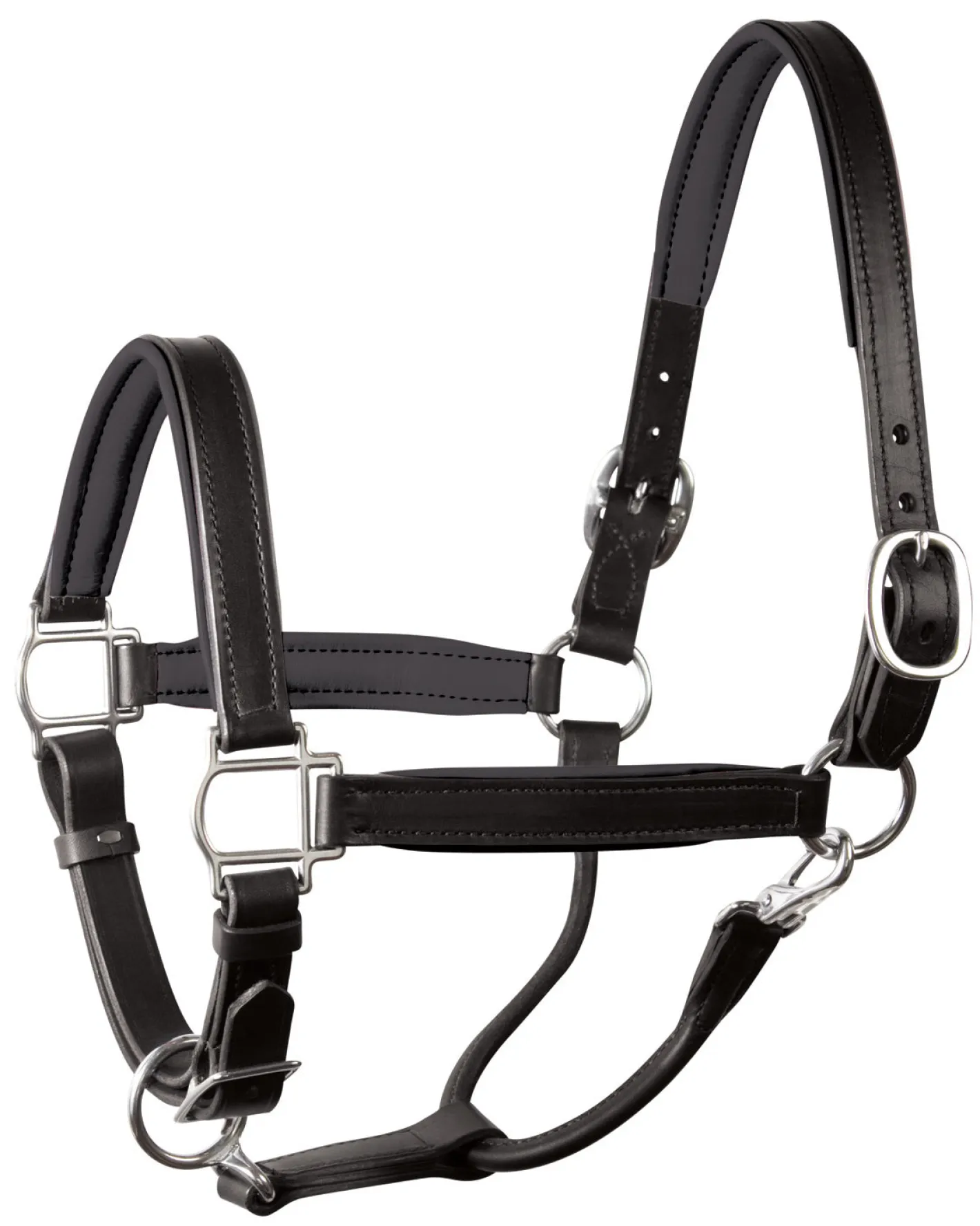 PERRIS LEATHER Perri’s® 1" Padded Leather Halter