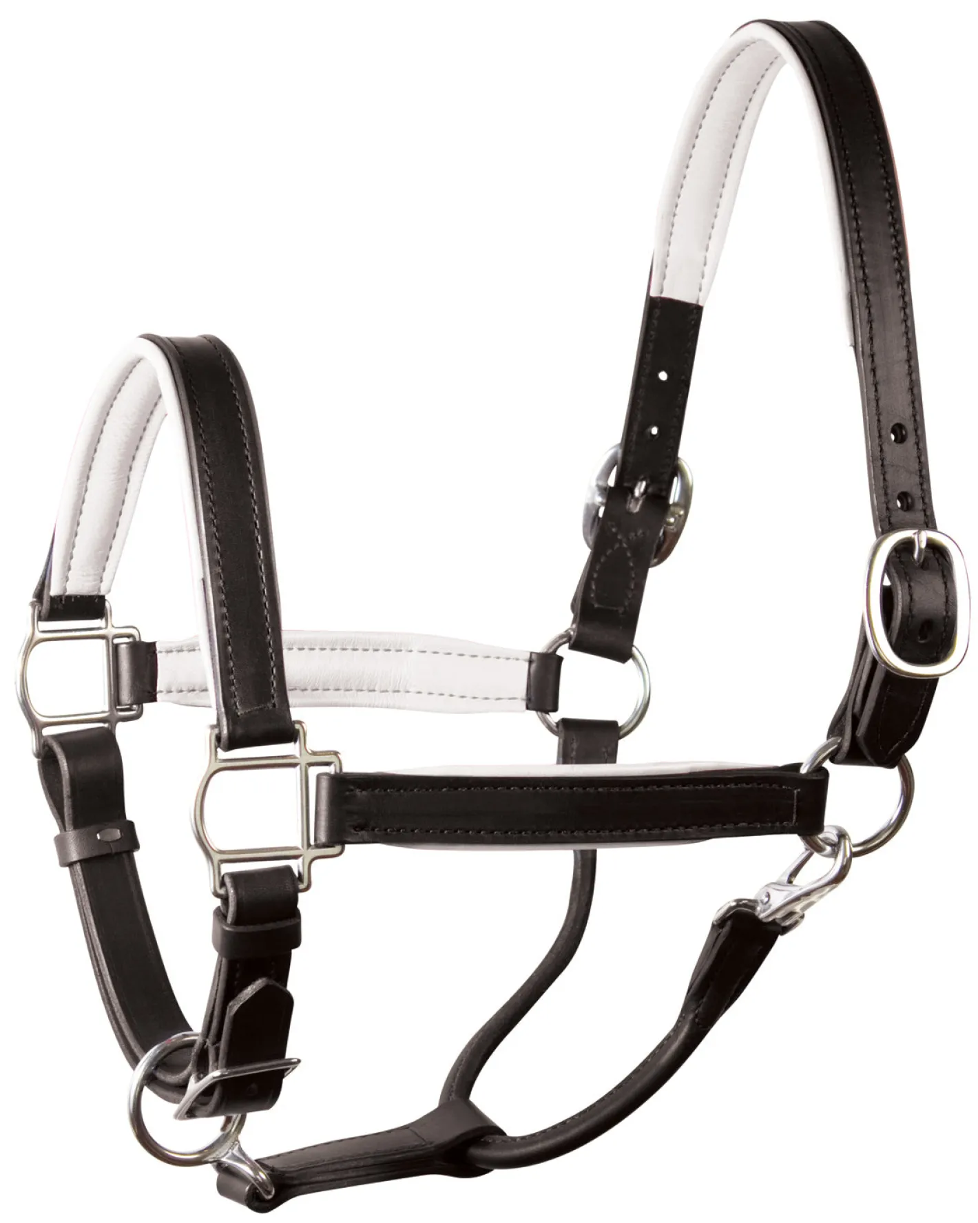 PERRIS LEATHER Perri’s® 1" Padded Leather Halter