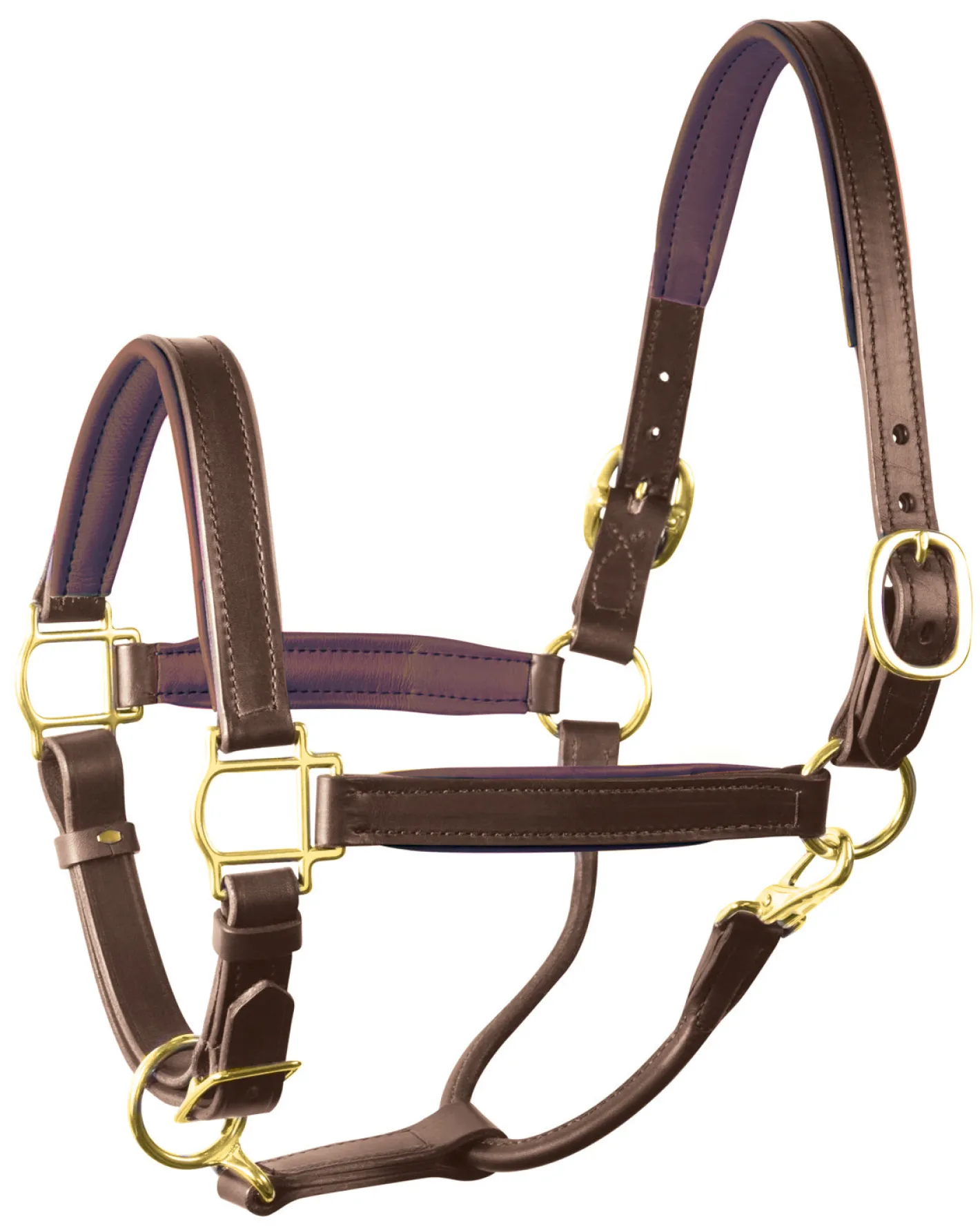 PERRIS LEATHER Perri’s® 1" Padded Leather Halter