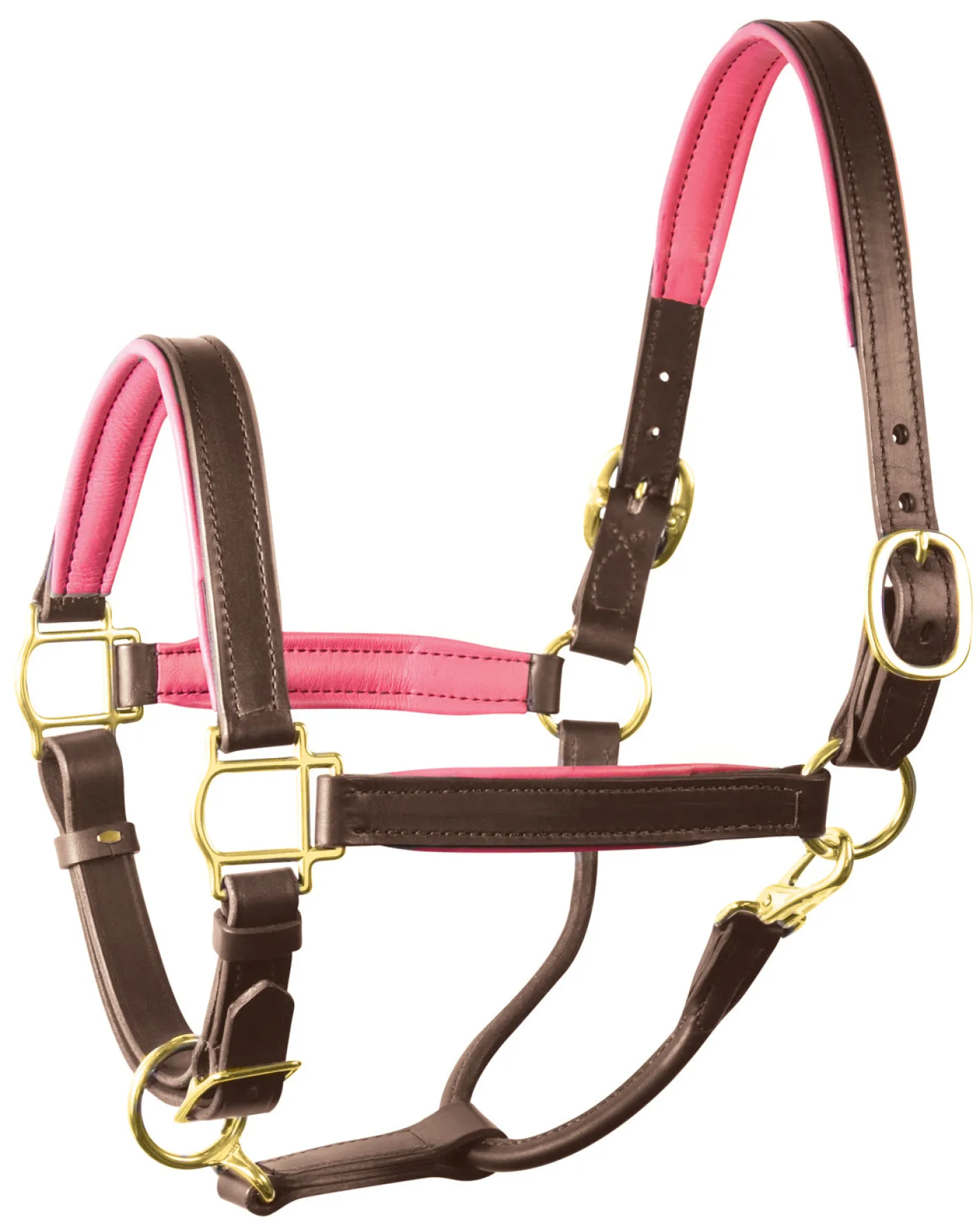 PERRIS LEATHER Perri’s® 1" Padded Leather Halter