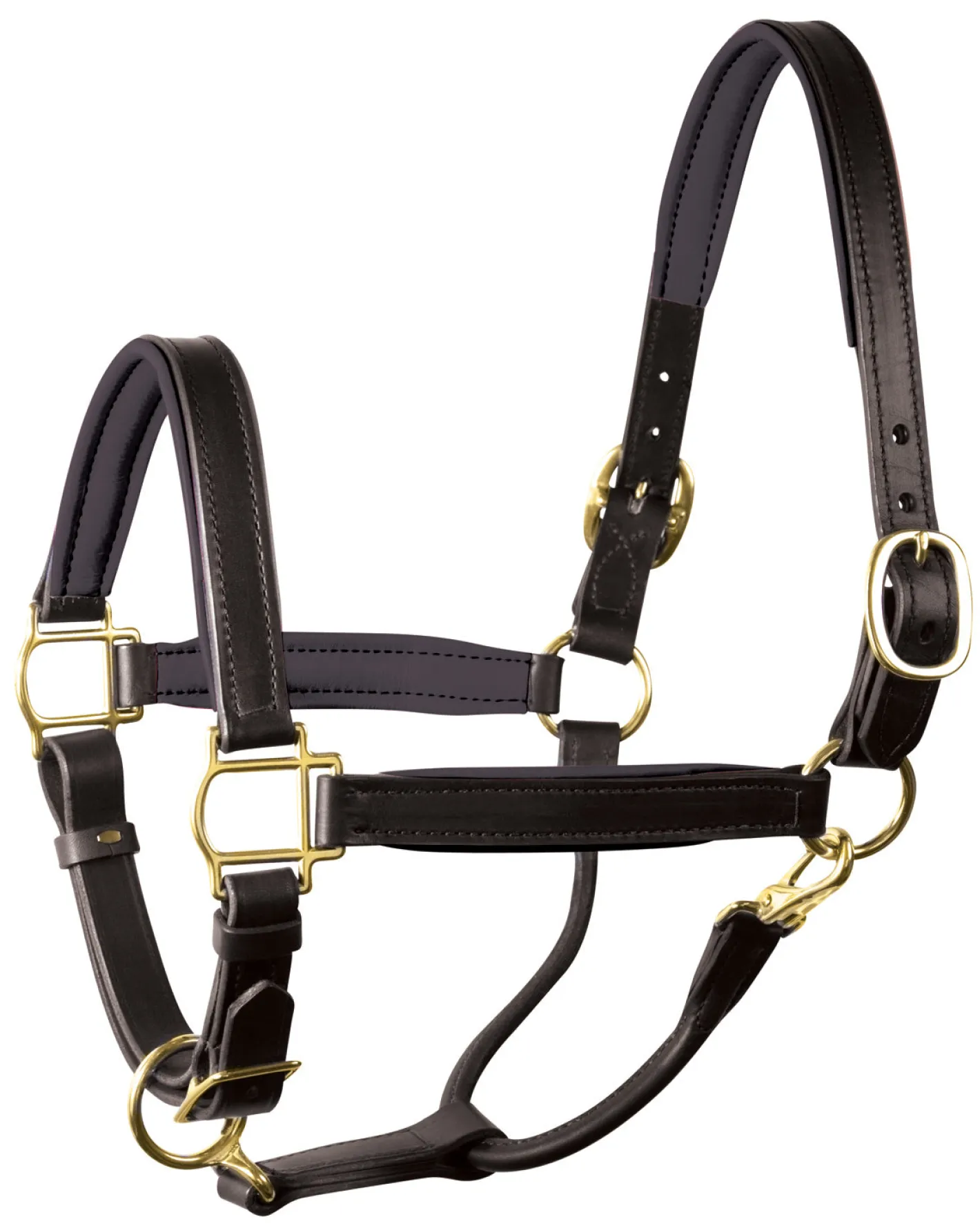 PERRIS LEATHER Perri’s® 1" Padded Leather Halter