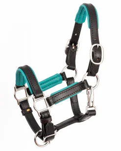 PERRIS LEATHER Perri’s® 3/4" Padded Leather Mini Halter