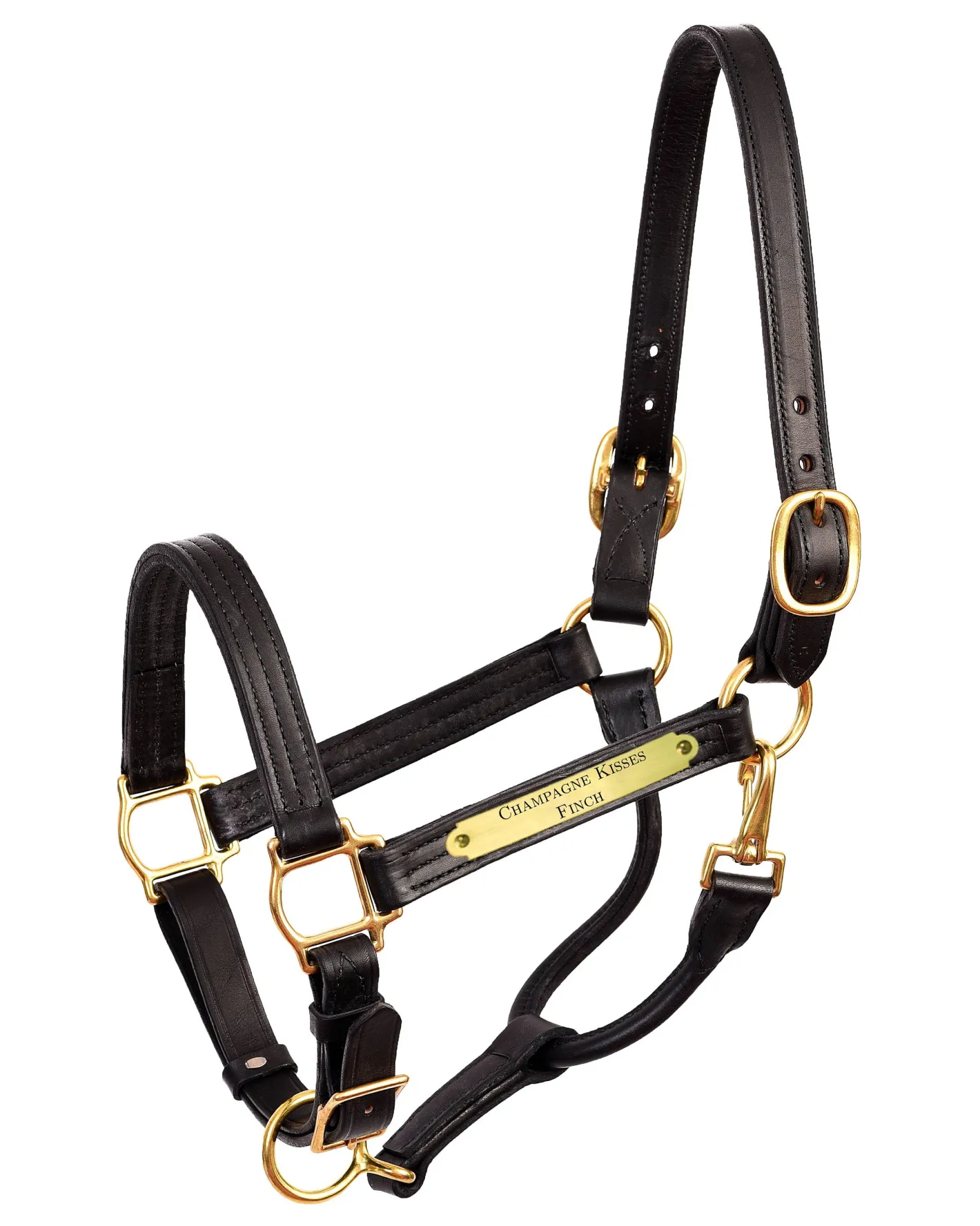 PERRIS LEATHER Perri’s® 1" XL Stallion Premium Leather Show Halter with Nameplate