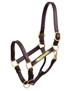 PERRIS LEATHER Perri’s® 1" XL Stallion Premium Leather Show Halter with Nameplate