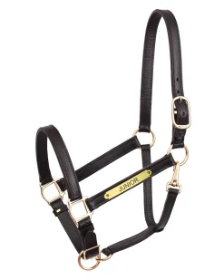 PERRIS LEATHER Perri’s® Draft Leather Turnout Halter