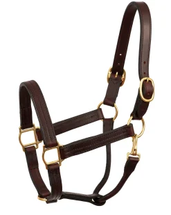 PERRIS LEATHER Perri’s® Heavy-Duty Track Halter with Snap