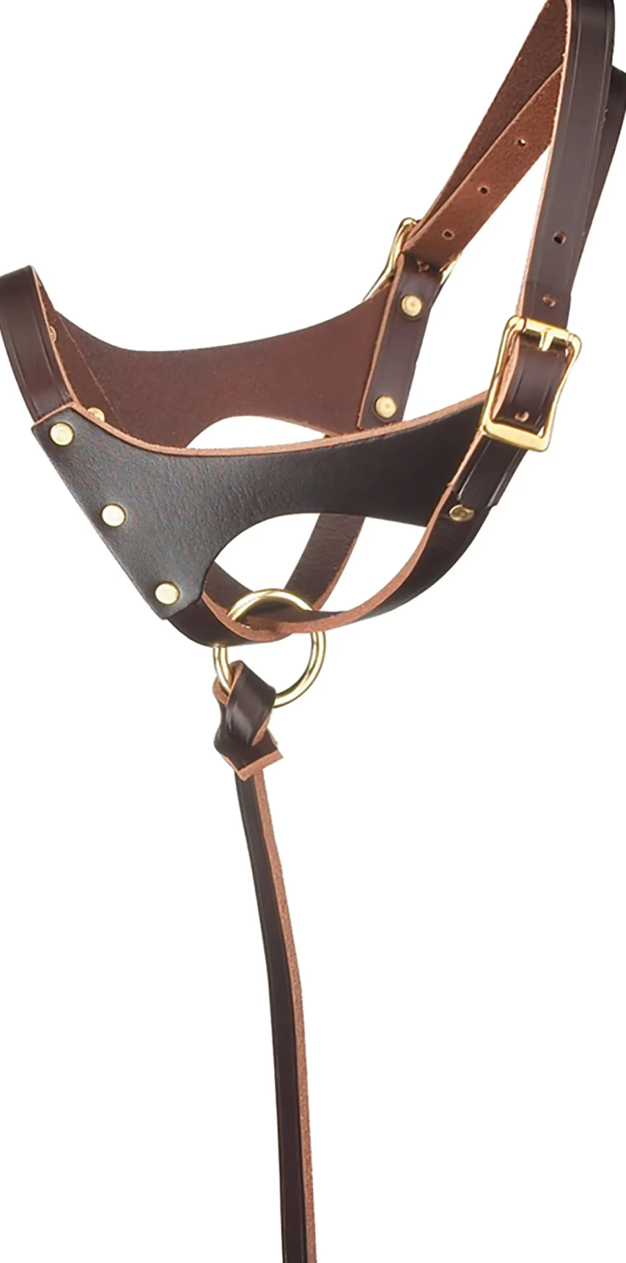 PERRIS LEATHER Perri’s® Leather Foal Halter