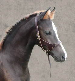 PERRIS LEATHER Perri’s® Leather Foal Halter