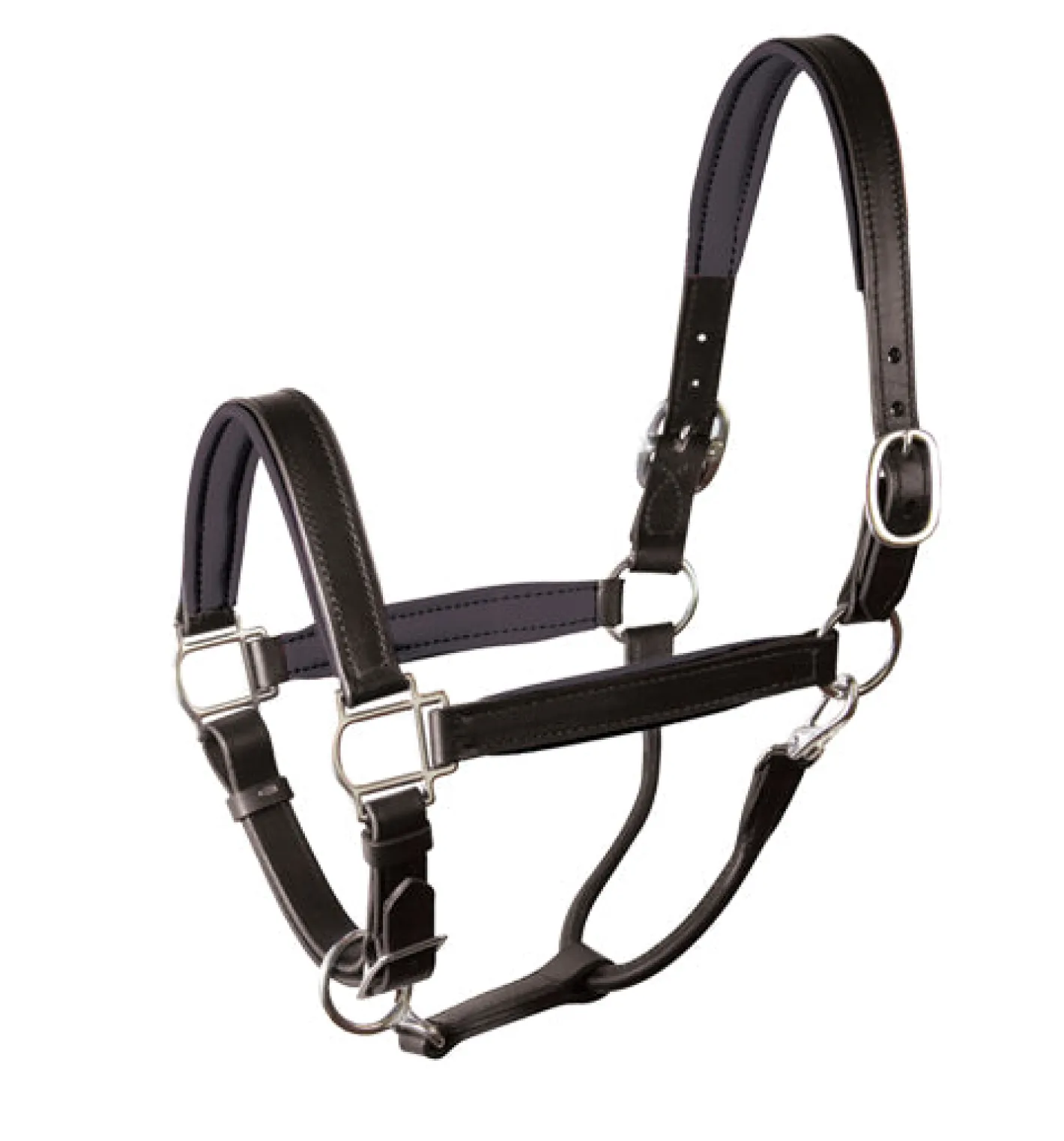 PERRIS LEATHER Perri’s® Padded Leather Halter Crownpiece