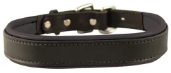 PERRIS LEATHER Perri’s® Padded Leather Nameplate Dog Collar