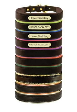 PERRIS LEATHER Perri’s® Padded Leather Nameplate Dog Collar