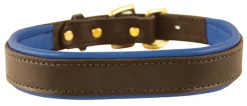 PERRIS LEATHER Perri’s® Padded Leather Nameplate Dog Collar