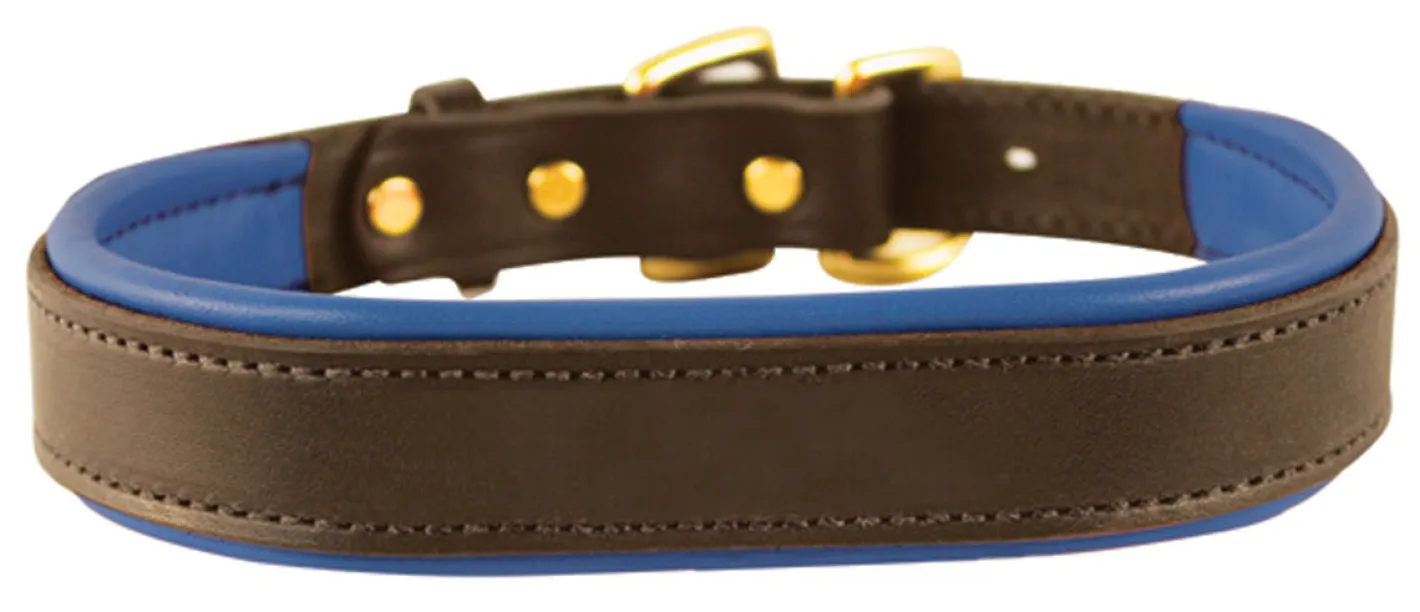 PERRIS LEATHER Perri’s® Padded Leather Nameplate Dog Collar