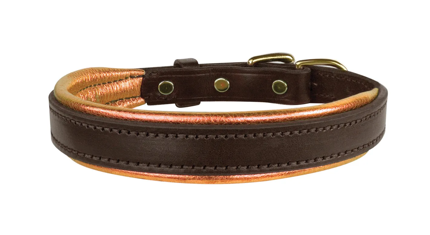 PERRIS LEATHER Perri’s® Padded Leather Nameplate Dog Collar