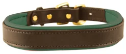 PERRIS LEATHER Perri’s® Padded Leather Nameplate Dog Collar