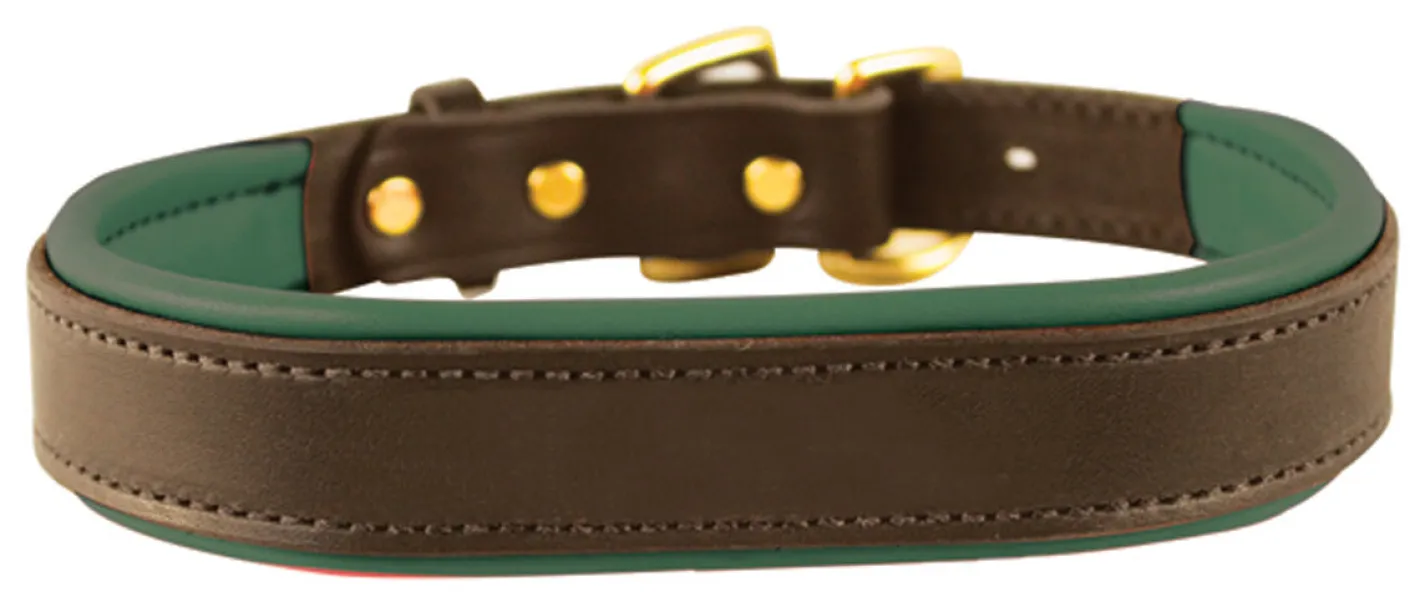 PERRIS LEATHER Perri’s® Padded Leather Nameplate Dog Collar