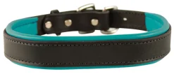 PERRIS LEATHER Perri’s® Padded Leather Nameplate Dog Collar