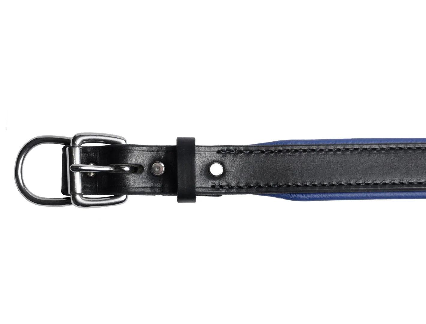PERRIS LEATHER Perri’s® Padded Leather Nameplate Dog Collar