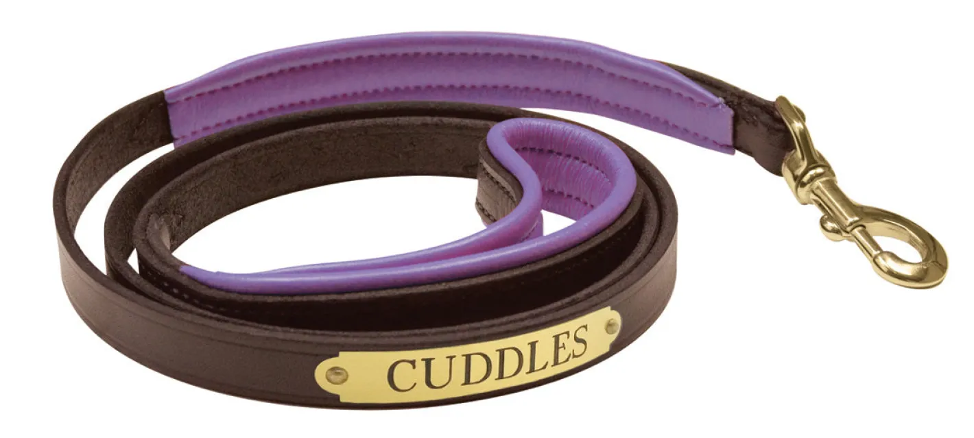 PERRIS LEATHER Perri’s® Padded Leather Nameplate Dog Leash