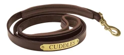 PERRIS LEATHER Perri’s® Padded Leather Nameplate Dog Leash