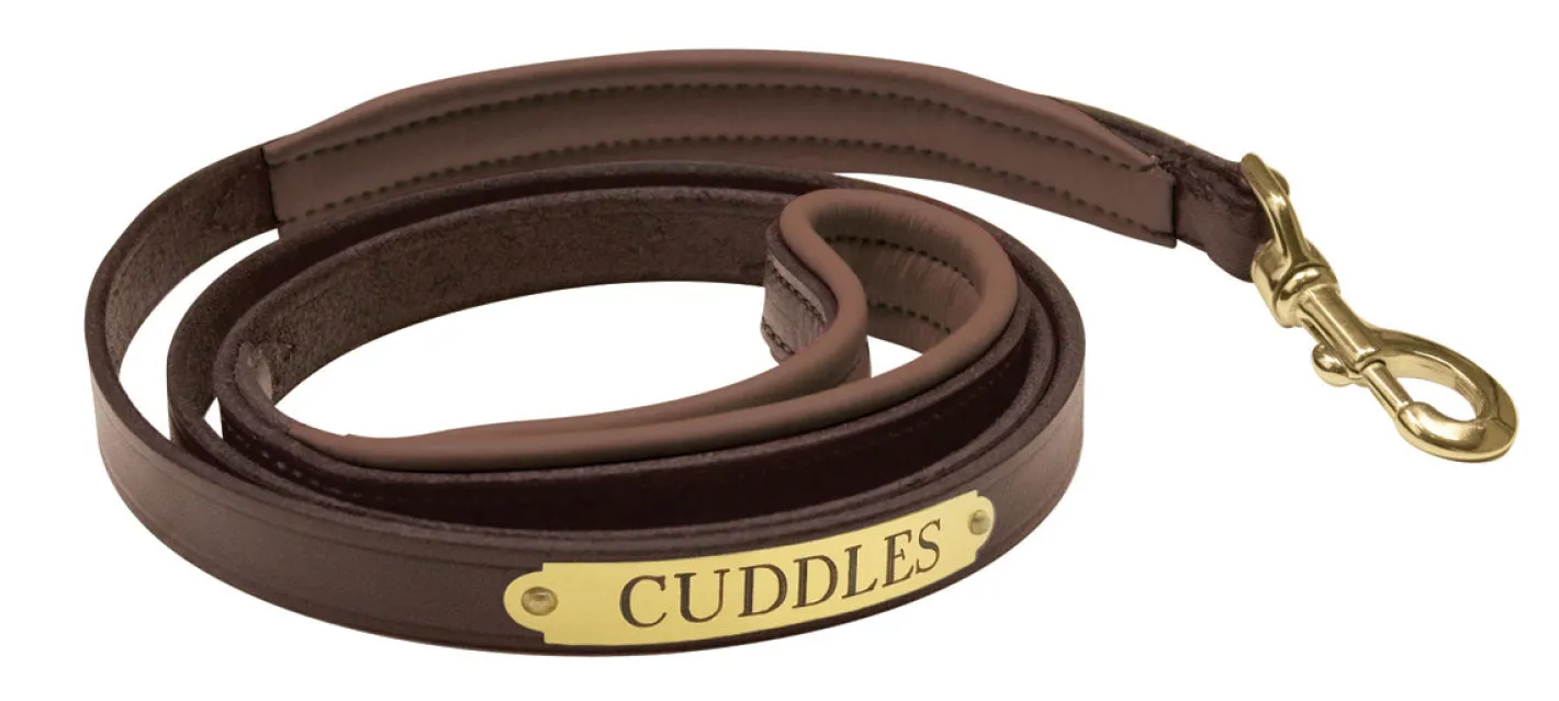 PERRIS LEATHER Perri’s® Padded Leather Nameplate Dog Leash