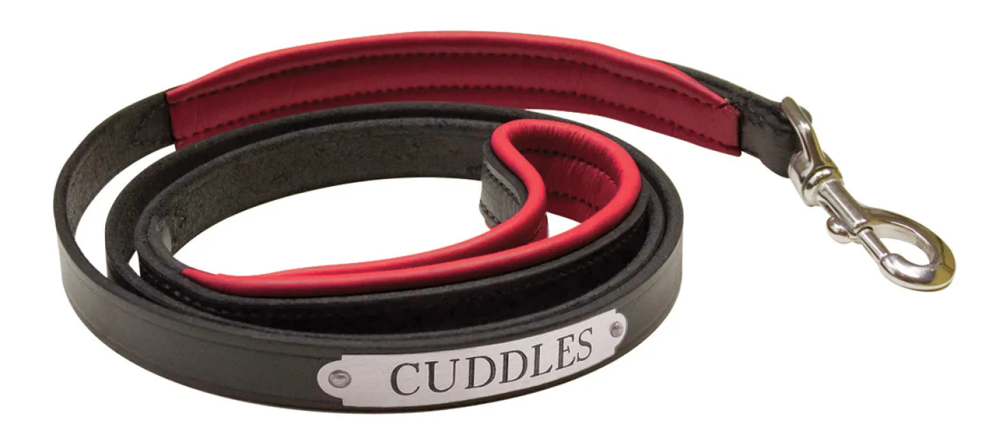 PERRIS LEATHER Perri’s® Padded Leather Nameplate Dog Leash