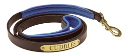 PERRIS LEATHER Perri’s® Padded Leather Nameplate Dog Leash