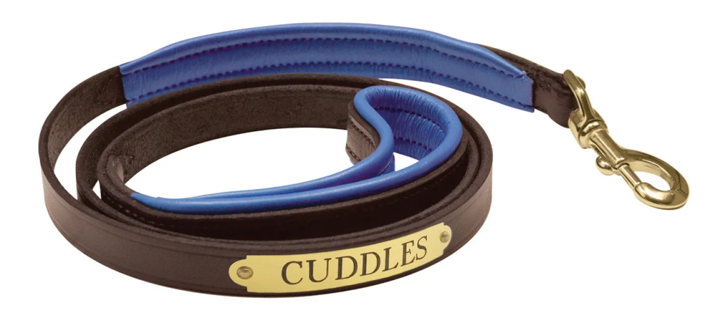 PERRIS LEATHER Perri’s® Padded Leather Nameplate Dog Leash