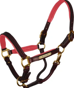 PERRIS LEATHER Perri’s® Padded Leather Pony Halter with Nameplate