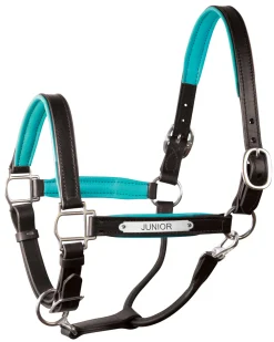 PERRIS LEATHER Perri’s® Padded Leather Pony Halter with Nameplate