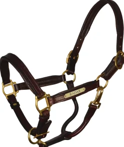 PERRIS LEATHER Perri’s® Padded Leather Pony Halter with Nameplate