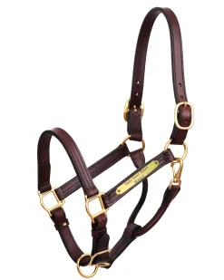 PERRIS LEATHER Perri’s® Premium 1