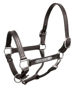 PERRIS LEATHER Perri’s® Premium 1