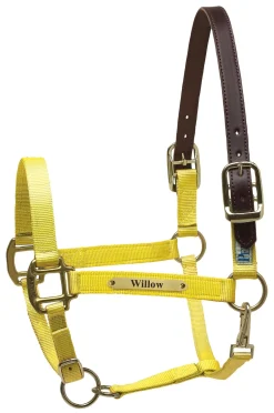 PERRIS LEATHER Perri’s® Premium Nylon Safety Halter with Nameplate