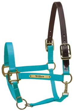 PERRIS LEATHER Perri’s® Premium Nylon Safety Halter with Nameplate