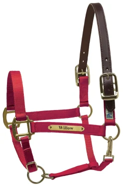 PERRIS LEATHER Perri’s® Premium Nylon Safety Halter with Nameplate