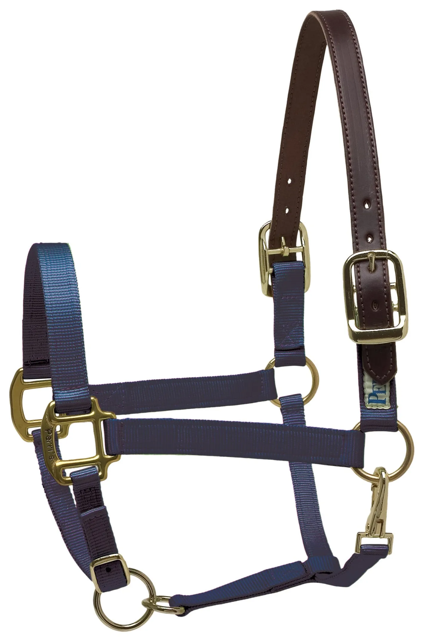PERRIS LEATHER Perri’s® Premium Nylon Safety Halter with Nameplate