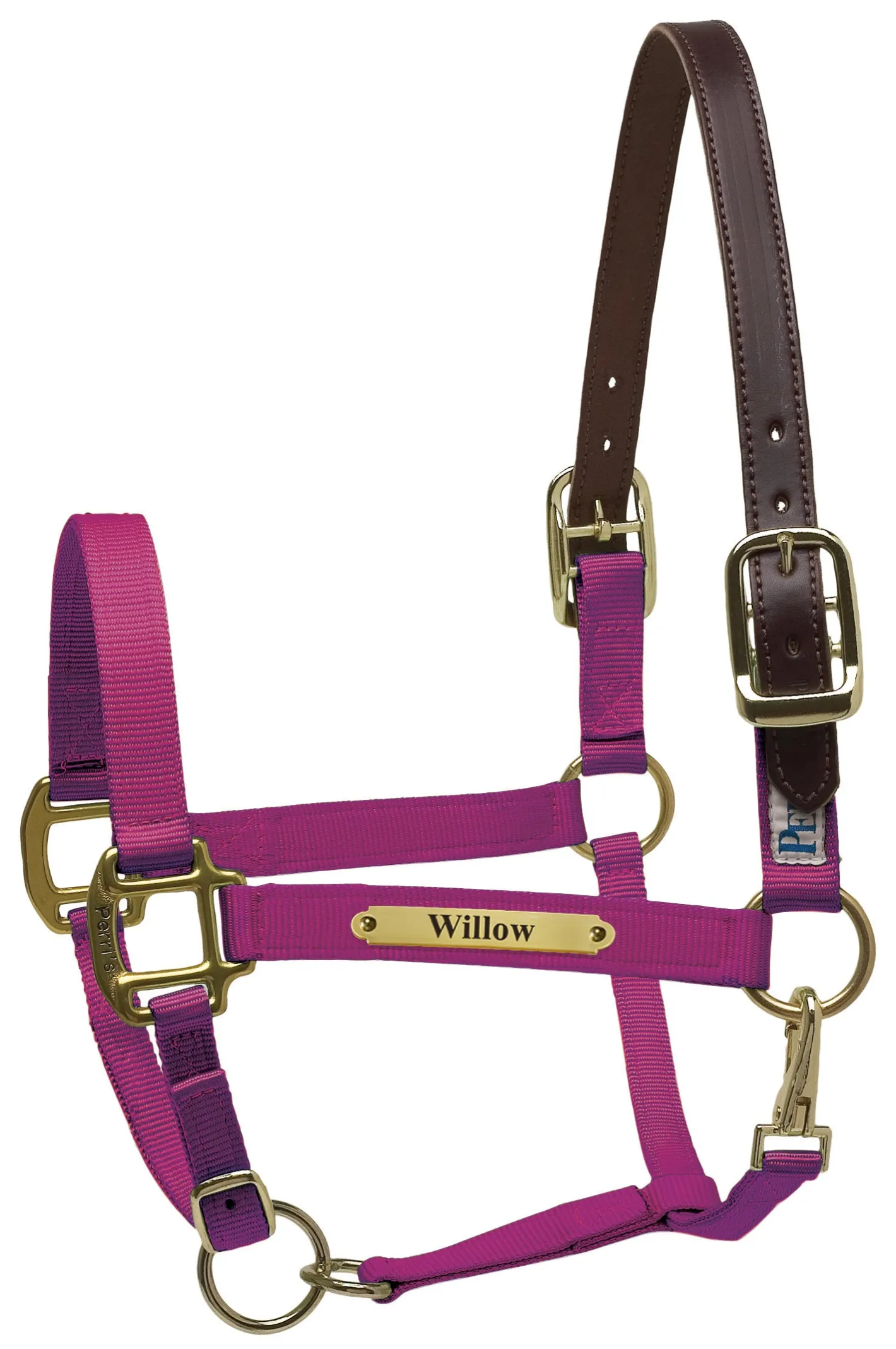 PERRIS LEATHER Perri’s® Premium Nylon Safety Halter with Nameplate
