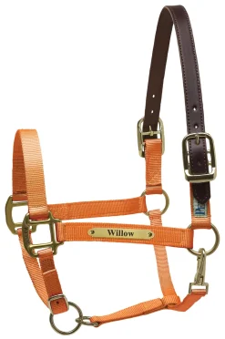 PERRIS LEATHER Perri’s® Premium Nylon Safety Halter with Nameplate