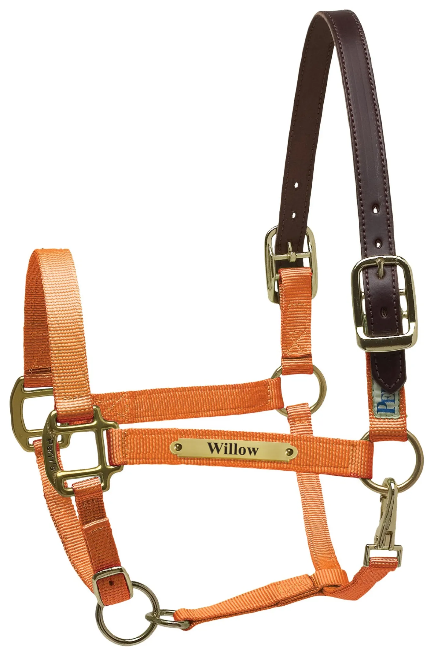 PERRIS LEATHER Perri’s® Premium Nylon Safety Halter with Nameplate