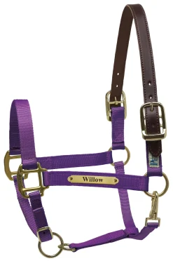 PERRIS LEATHER Perri’s® Premium Nylon Safety Halter with Nameplate