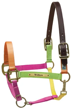 PERRIS LEATHER Perri’s® Premium Nylon Safety Halter with Nameplate