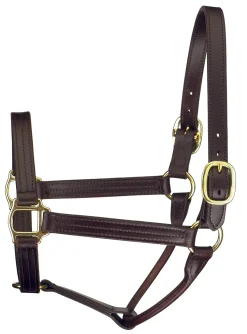 PERRIS LEATHER Perri’s® Premium Track Style Show Halter