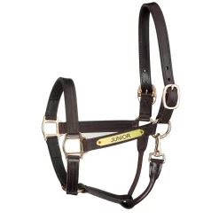 PERRIS LEATHER Perri’s® Premium Track Style Leather Show Halter with Snap & Nameplate