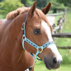PERRIS LEATHER Perri’s® Ribbon Trim Breakaway Halter