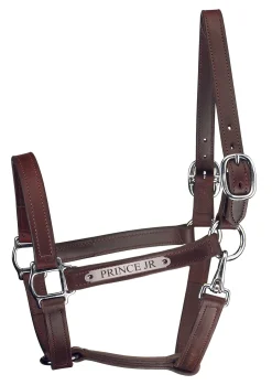 PERRIS LEATHER Perri’s® Track Style Leather Turnout Halter with Snap Throat and Nameplate